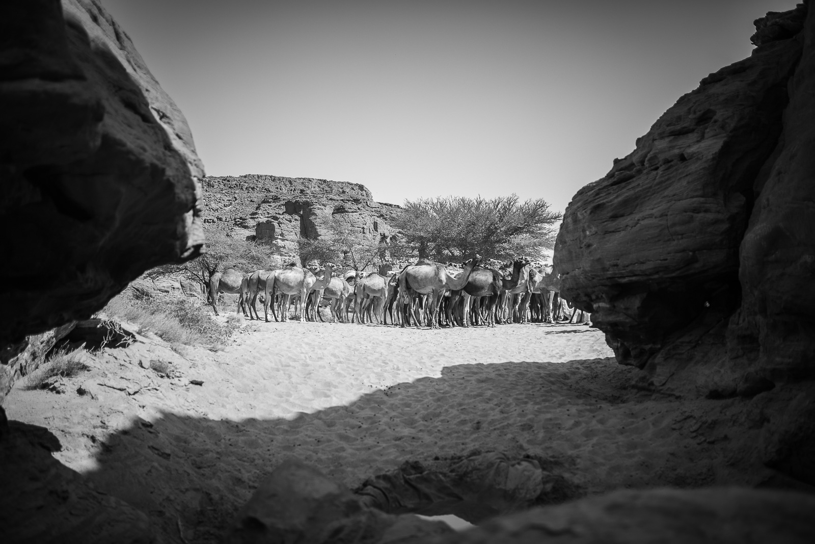 Human & Nature  outoftime 75